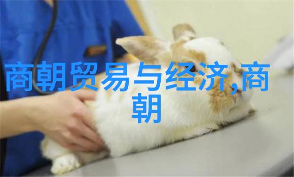 明朝著名官员-锦衣卫将领与科举风云明朝权势的双面刃