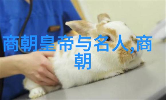 去故宫十大忌讳避免在故宫中出现的十个常见错误