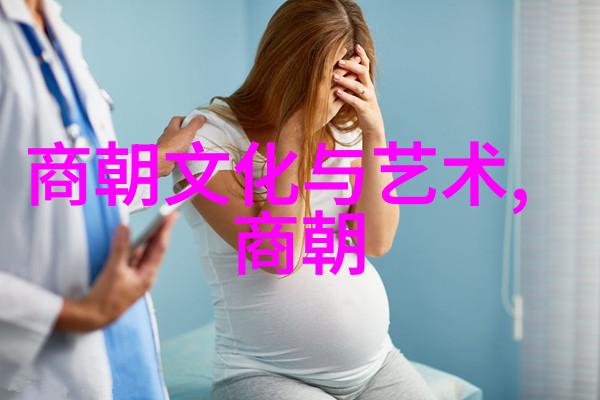 大明我是朱允熞重现明朝末年的风云与悲剧