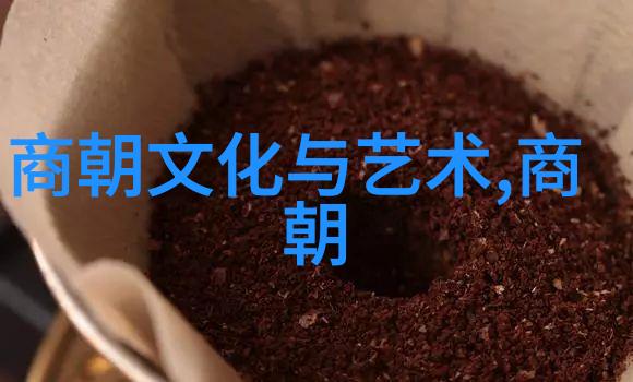 探索元朝的辉煌疆域之大与时期之长