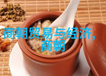 中国历史 - 穿越时空解析几千年背后的中国历史奥秘