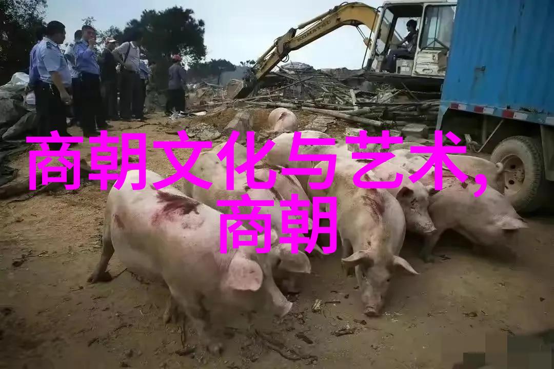 努尔哈赤建立清朝蒙古部落联盟的兴衰与中华文明的融合