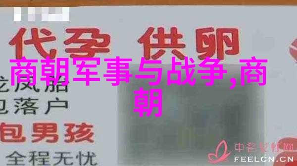 明朝简史 - 明辉照耀从朱元璋到崇祯的兴衰变迁