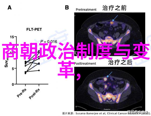 元朝末期的覆灭历史上的悲剧与反思