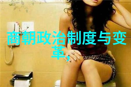 外来征服与中原统治元朝的入主大陆考量