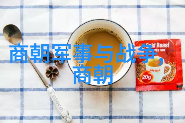 明朝 传奇 - 龙凤呈祥明朝皇帝的奇遇与神话