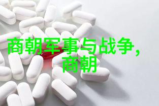 揭秘明朝遗踪朱允炆的神秘下落与历史真相