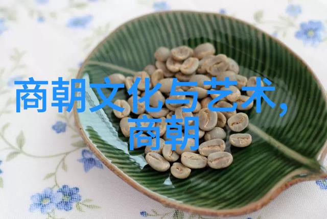 明太祖朱元璋的统一大业对抗北元确立明朝正统