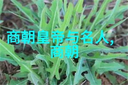 中国民间故事300篇神话-传说中的幻想探索中国民间故事300篇神话的奇迹与智慧