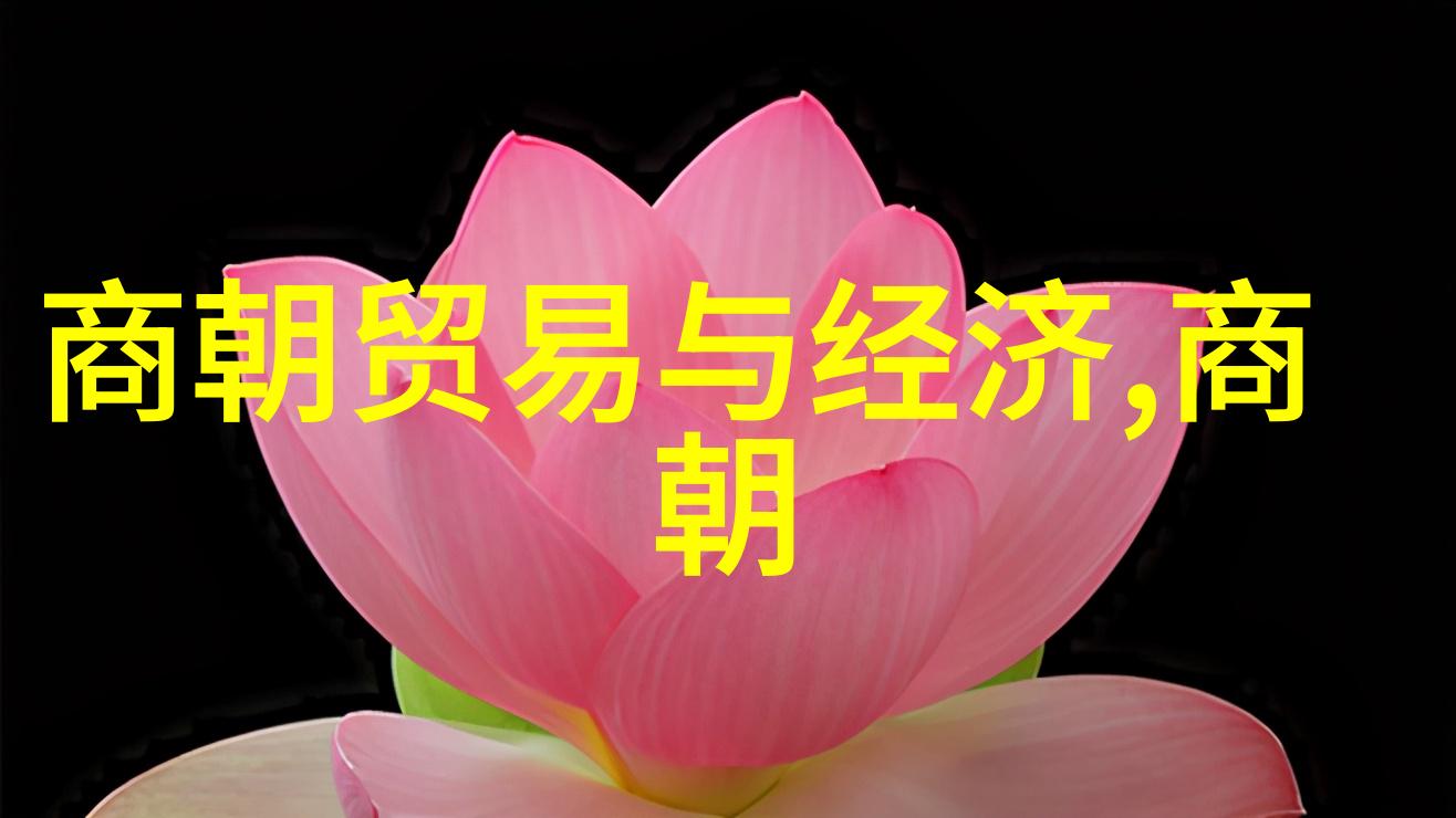 明朝哪些重大历史事件对其政治经济文化产生了深远影响