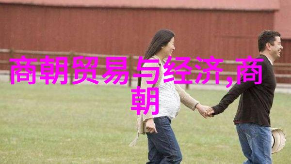 两宋时期终结的原因及其对中国历史的影响