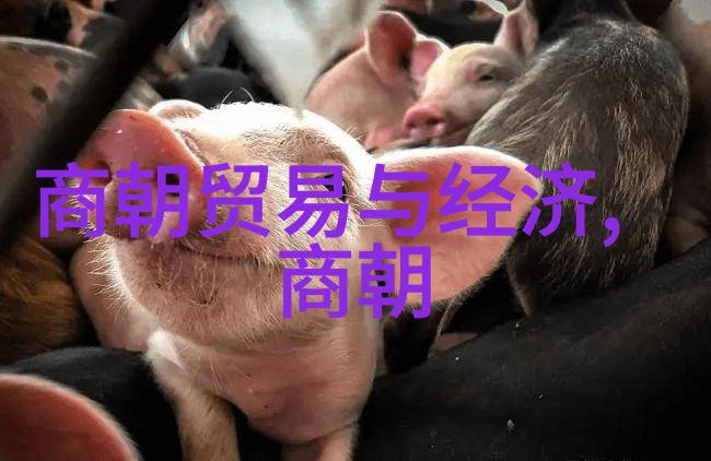 软件测试-背后的错误一个声名狼藉的beta的故事
