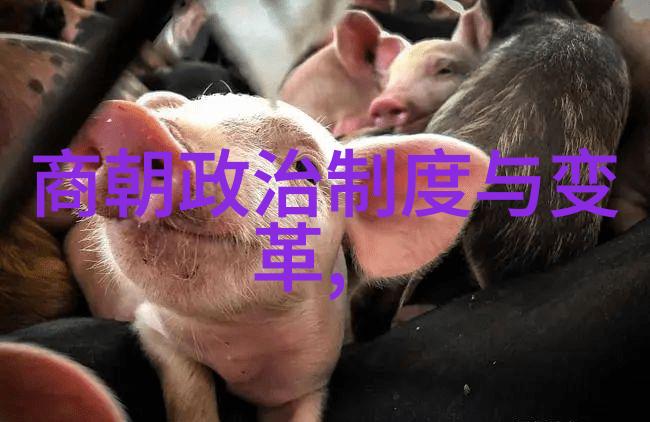在辽阔的疆域内元朝如何在数百年里维持着自己的存在