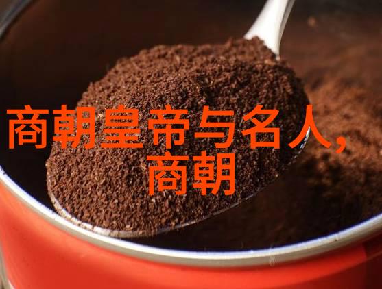 对于想要了解唐代文化的人来说推荐阅读哪一部历史著作