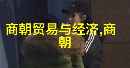 社会风俗变迁从红楼梦到清初诗词中的社会描写