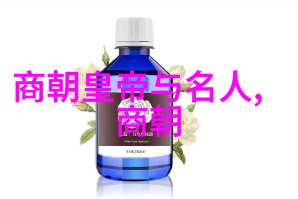 中国明朝辉煌历程一览其盛世文物与制度