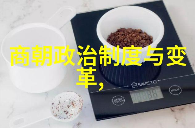 名符其实探秘494位名字背后的故事与文化
