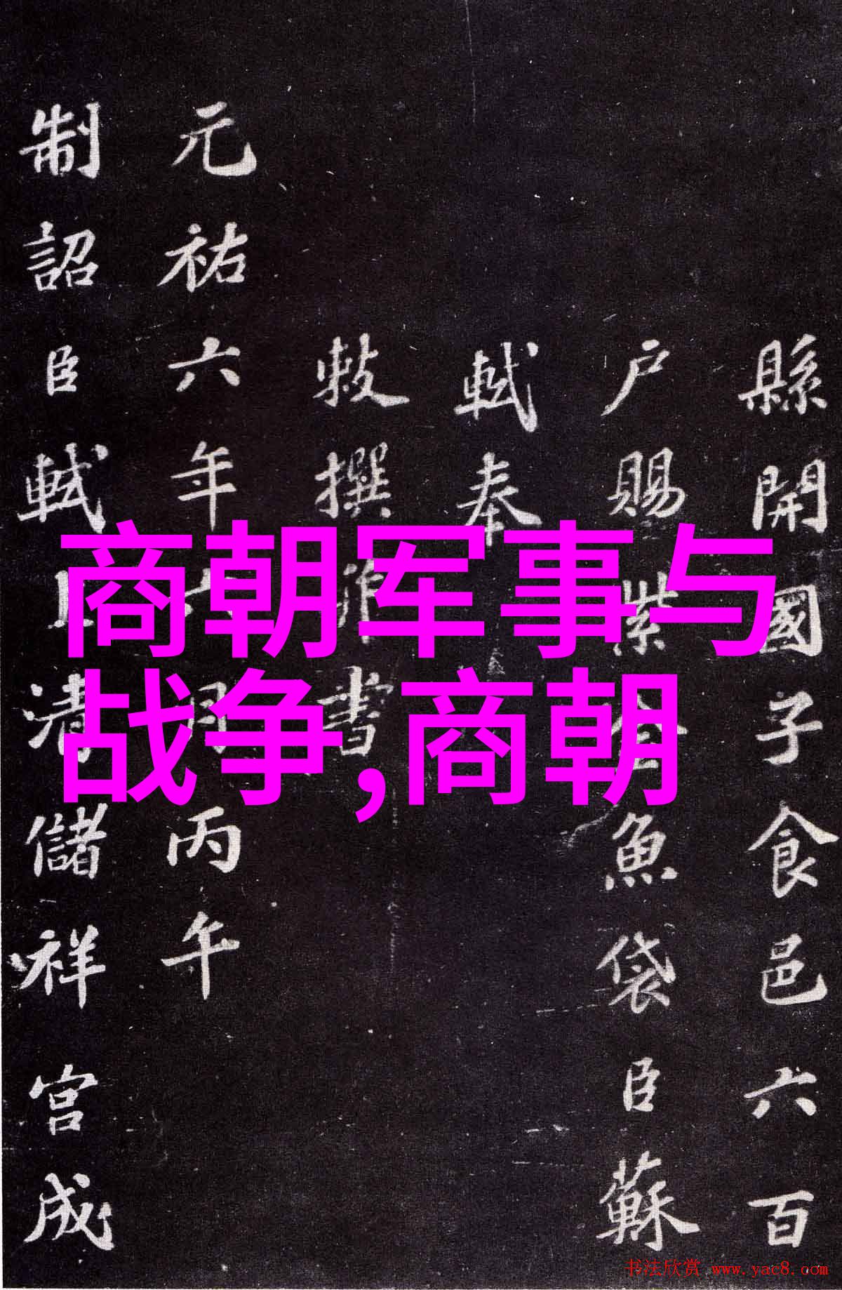 明朝的军事征服与边疆管理策略