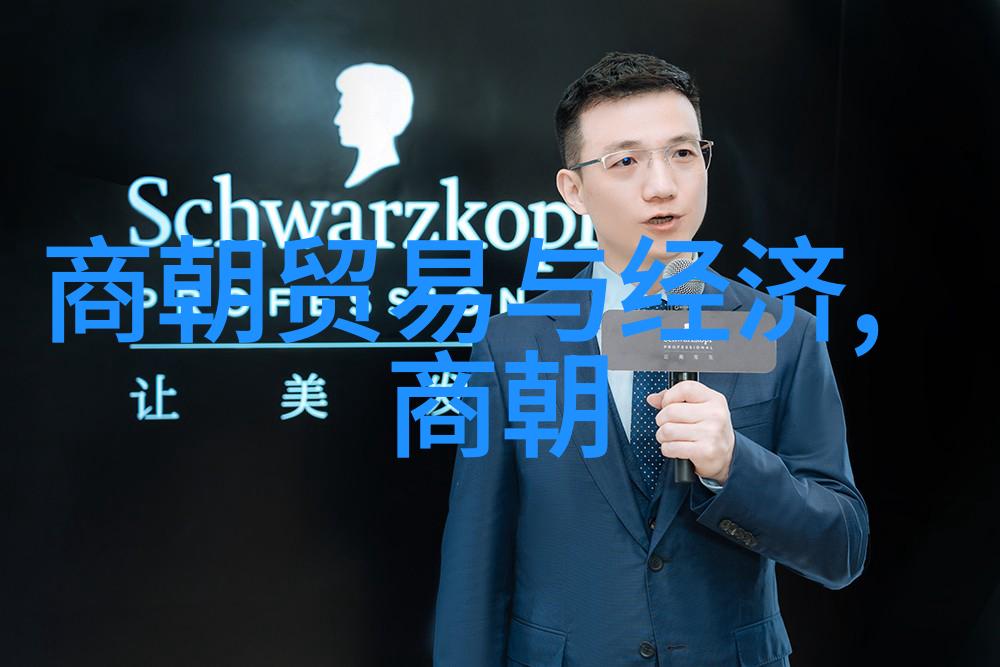 明朝朝代简介 - 明辉盛世从朱元璋到崇祯的兴衰变迁