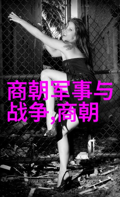 明朝那些事有几本-翻阅历史的篇章探索明朝那些事有几本背后的文化与故事