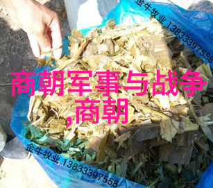 元朝如何灭亡的老子讲了个啥怎么就把大汗的江山给掏空了