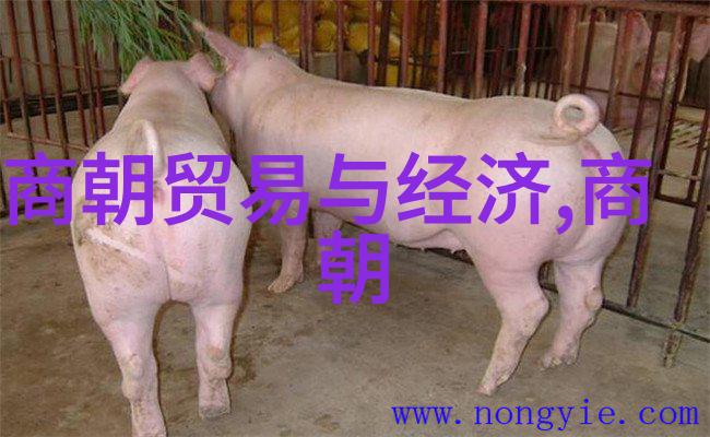 高树玛利亚qvod探秘影网上的神秘花园