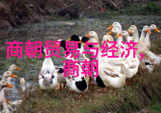 作者在创作过程中遇到了什么难题