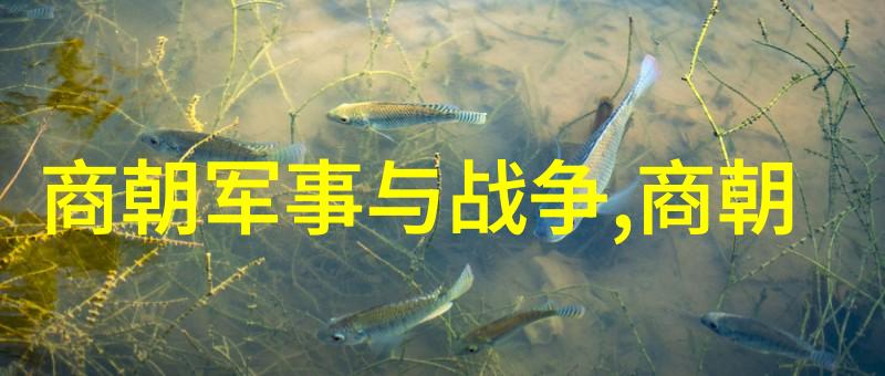宋代风华文治武功的辉煌篇章