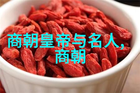历史朝代时间轴-穿梭千年中国历史的盛衰兴变