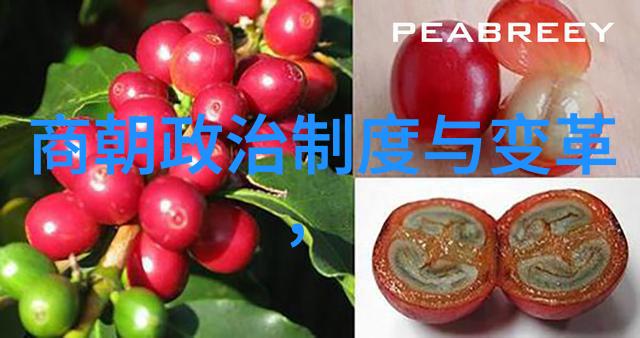 你说吧我觉得元朝算是中国的朝代吗