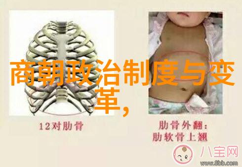 乾隆合葬的五位美人皇家陵墓中的情感纠葛