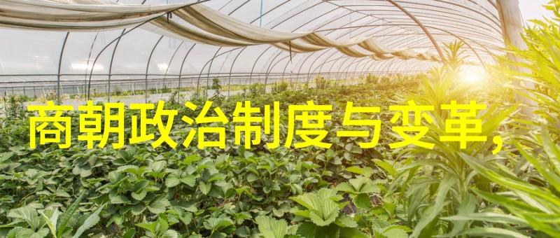人性的考验与挑战通过408行动看待血腥往事