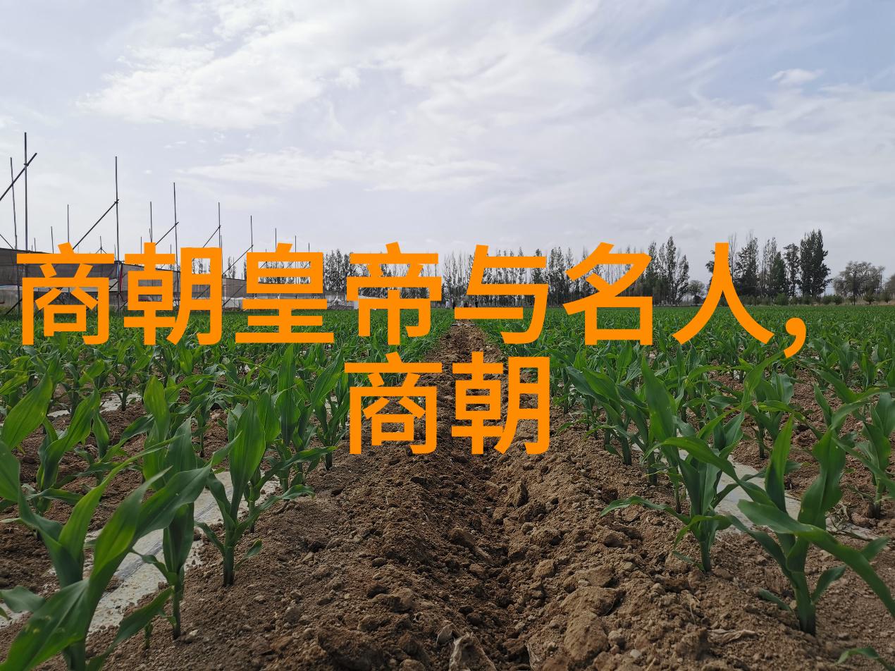 五四运动中的青春与理想