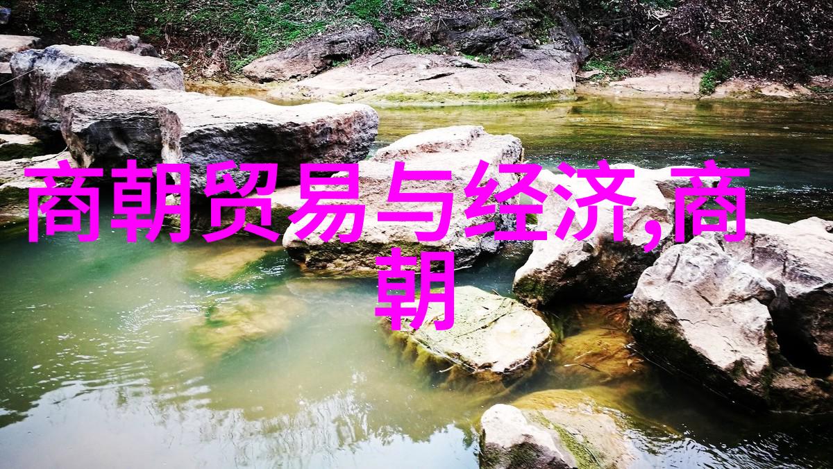 历史比较-清朝与明朝的辉煌与落后一场时光的对比考验