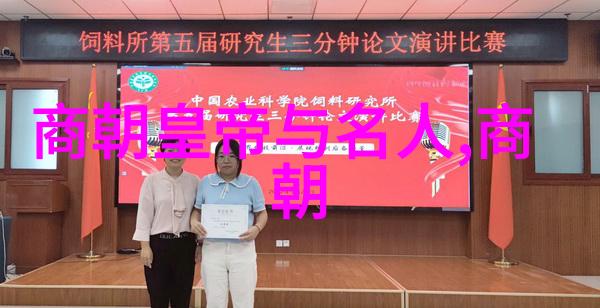元代的盛世与明朝的开端历史上的辉煌与变迁