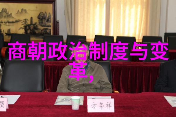 如何解读明代经济发展中的成就与困境以及它们对国家命运的影响