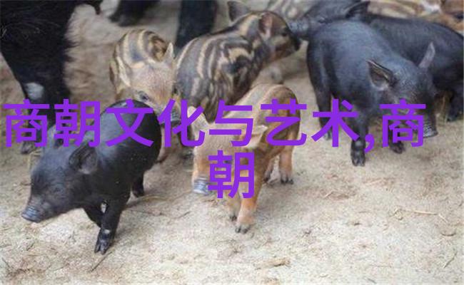 明朝大全盛世繁华与衰落的历史画卷