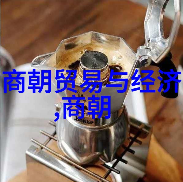 阴影中的王朝唐僧的秘密