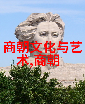 宫廷阴谋她是皇后的影子却意图弑君刑场上狂笑至终结