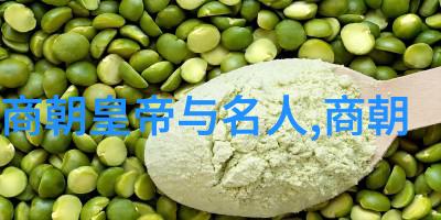 历史上的奇迹中国古代最早的水上城市