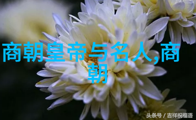 朱元璋王朝之谜为什么不选择太子继位的深层原因探究