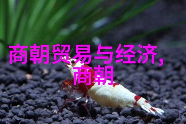 晋朝的光辉与影子一代英雄沉浮五十年