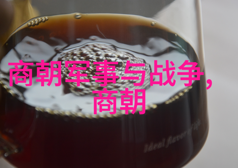 南诏国的覆灭唐军的征服与后续影响