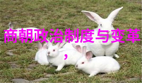 唐朝和隋朝哪个更厉害我觉得唐朝还不错但隋炀帝可真是够厉害的