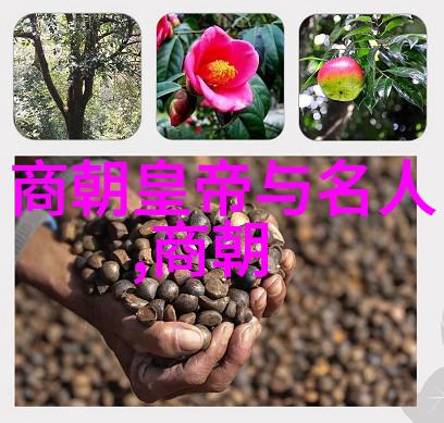 中国历史的辉煌篇章古代王朝的轮回