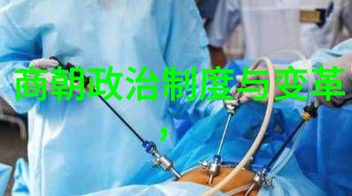 明朝英杰录权谋与才略的能力排名表