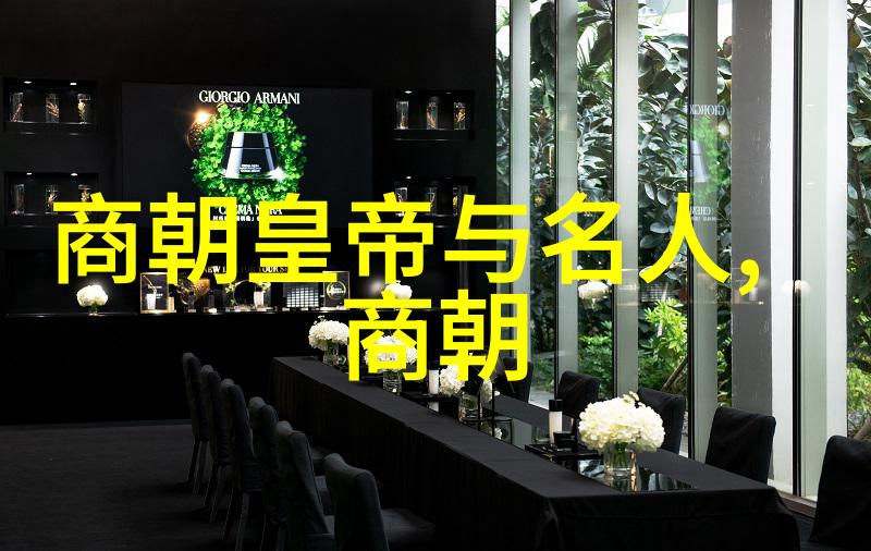宋朝的统一梦想大一统王朝的建构与挑战