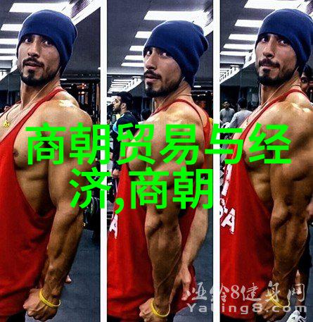 宋朝政府如何处理与西夏辽国关系这些外交政策取得了什么成效