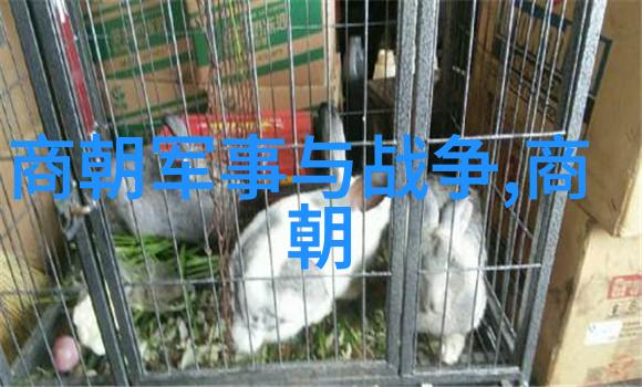 为什么国人现在还喜欢明朝我为啥还是爱上明朝的那些事儿