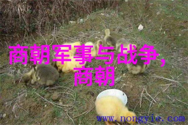 三国演义中的诸葛亮智谋源自何方